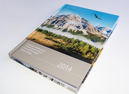 Buch Schweizer Briefmarken 2014