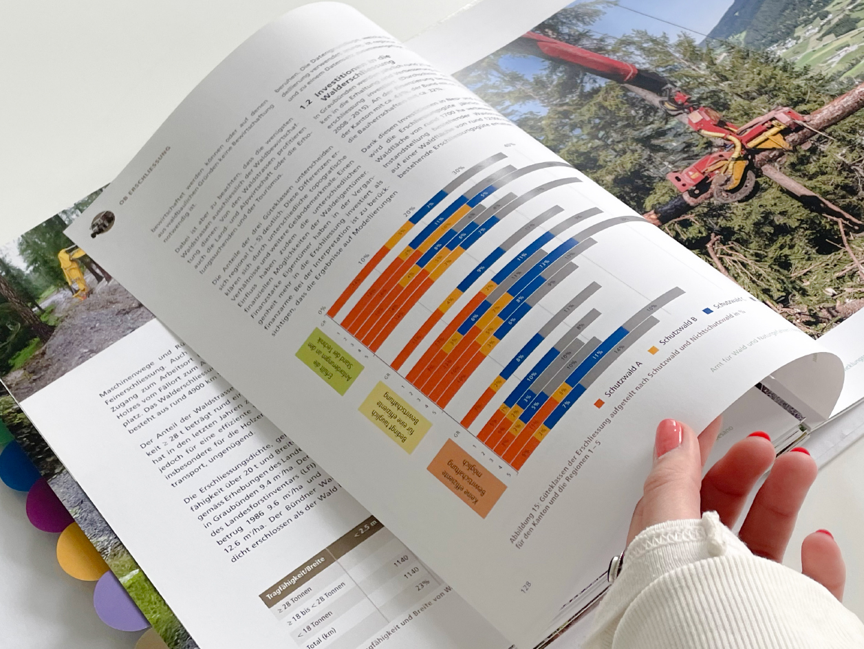 Amt für Wald und Naturgefahren. Waldentwicklungsplan 2018+