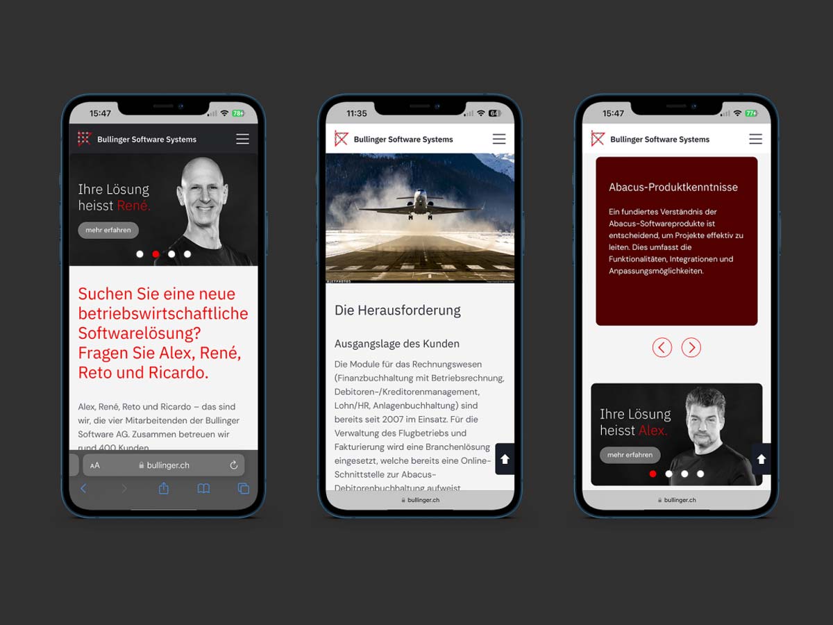 Bullinger Software Systems. Website.