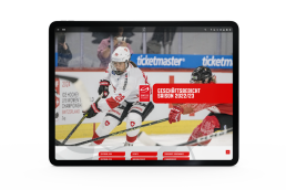 Jahresbericht 2023/2024